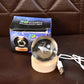 Fish 3D Crystal Ball lamps With Base (1 Pc)